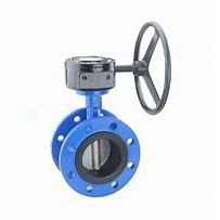 Concentric Butterfly Valve